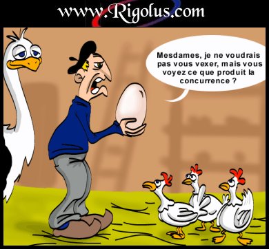 désoler poulette